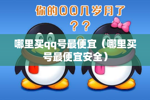 哪里买qq号最便宜（哪里买号最便宜安全）