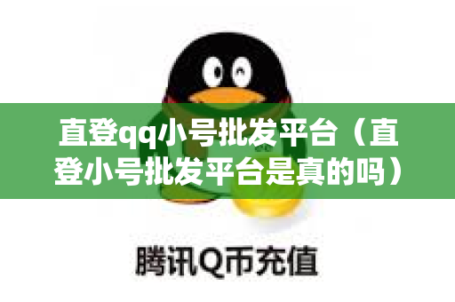 直登qq小号批发平台（直登小号批发平台是真的吗）