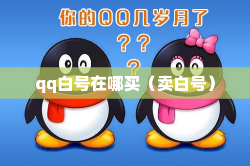 qq白号在哪买（卖白号）