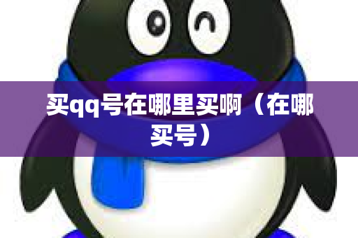 买qq号在哪里买啊（在哪买号）