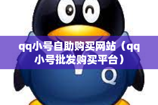 qq小号自助购买网站（qq小号批发购买平台）